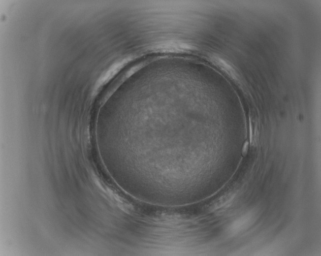 X0000063510531200601271813