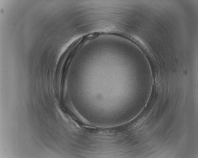 X0000063510532200601271813