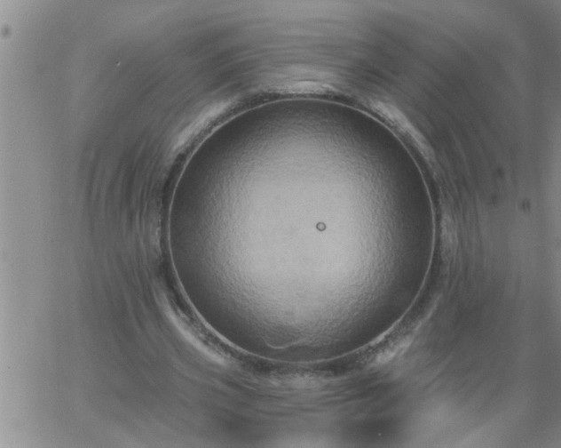 X0000063510533200601271813