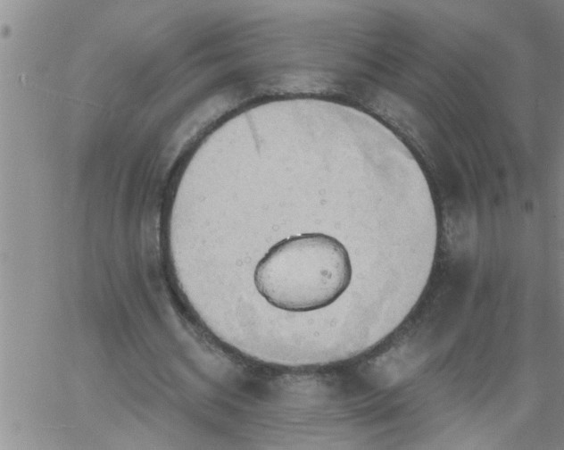 X0000063510534200601271813