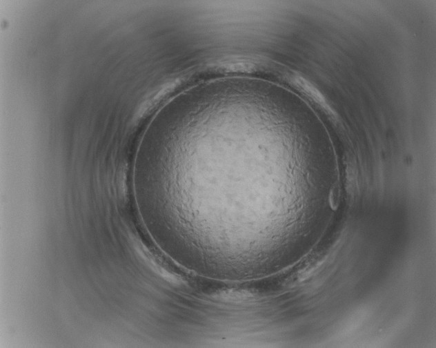 X0000063510537200601271813