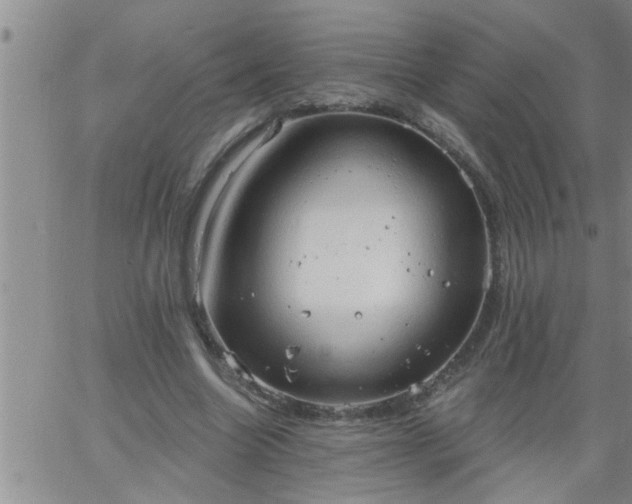 X0000063510538200601271813