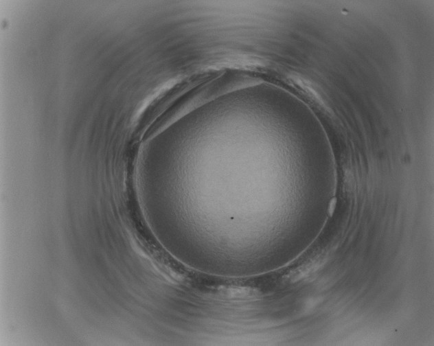 X0000063510539200601271813