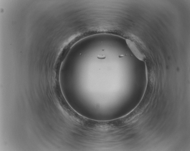 X0000063510540200601271813