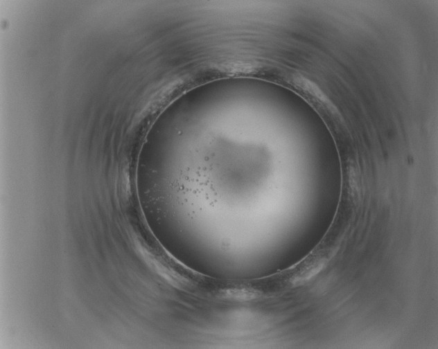 X0000063510541200601271813