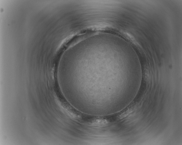 X0000063510543200601271813