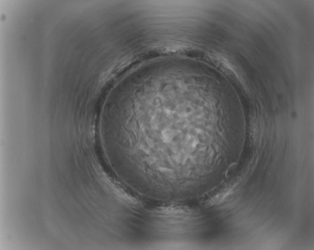 X0000063510545200601271813