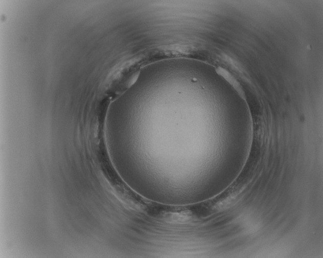 X0000063510548200601271813