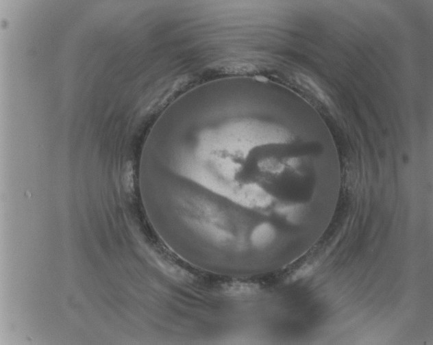 X0000063510549200601271813