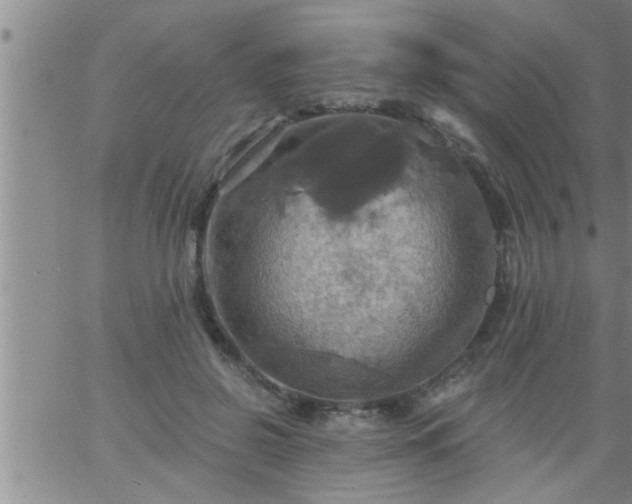 X0000063510550200601271813