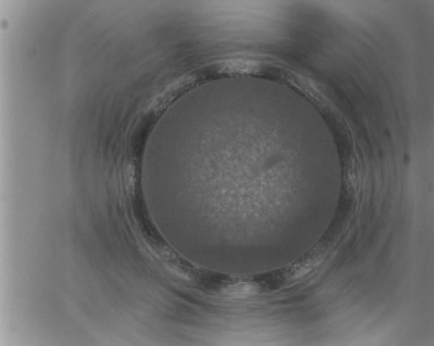 X0000063510551200601271813