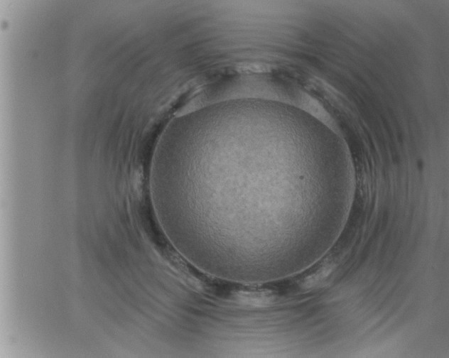 X0000063510556200601271813