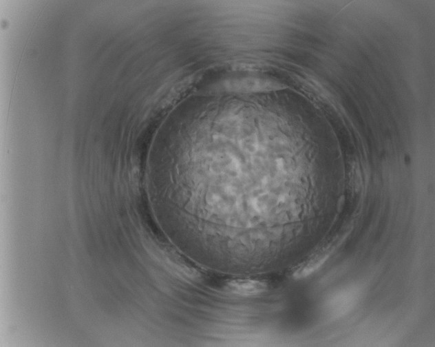 X0000063510557200601271813