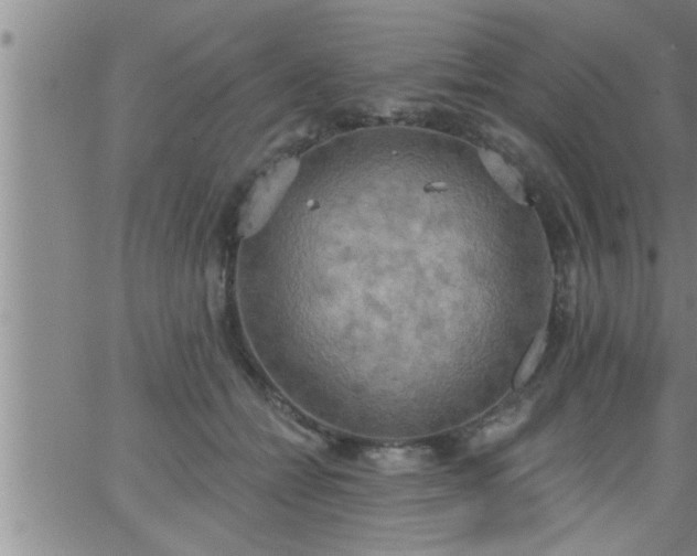 X0000063510558200601271813