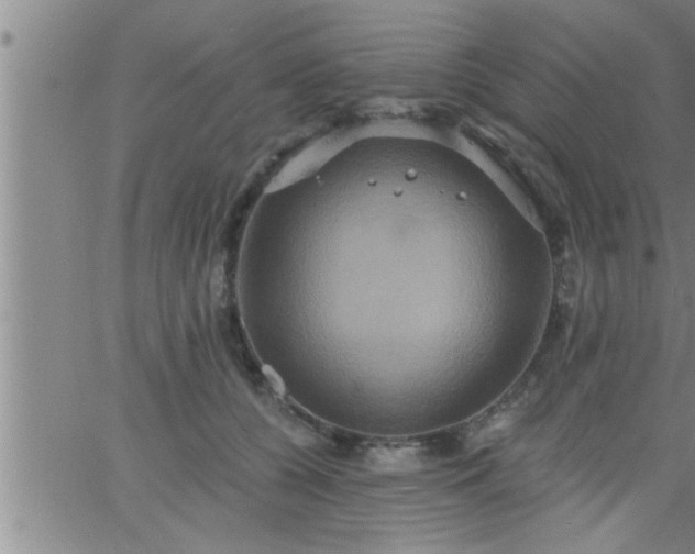 X0000063510560200601271813