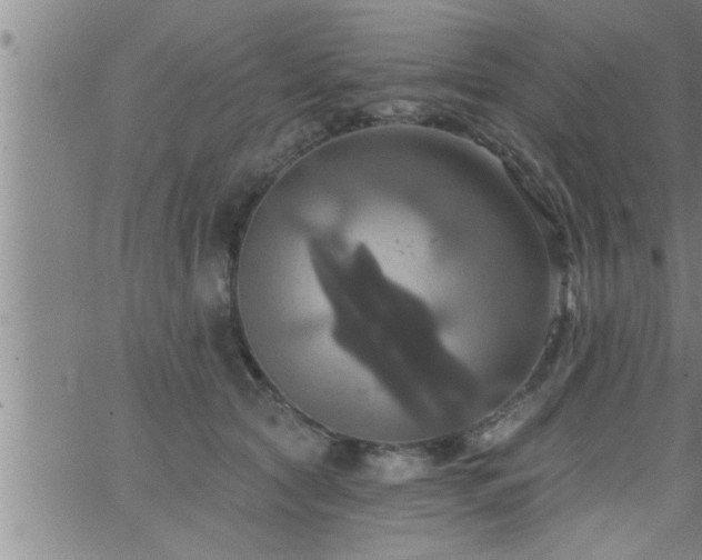 X0000063510561200601271813