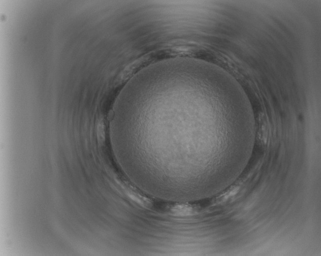 X0000063510562200601271813