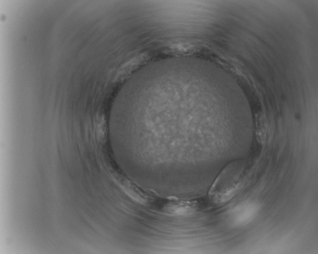 X0000063510563200601271813