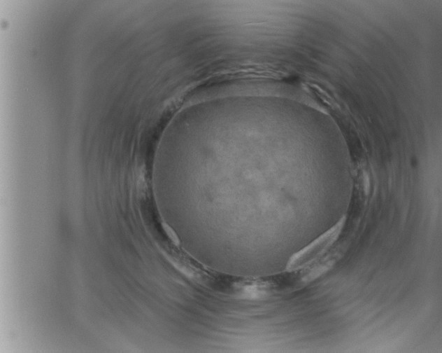 X0000063510564200601271813