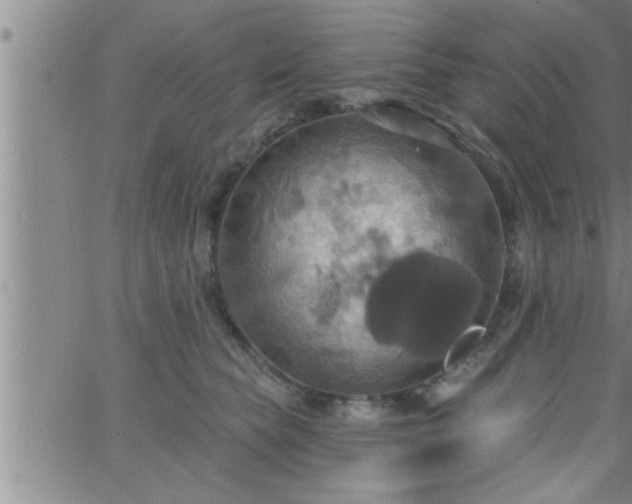 X0000063510565200601271813