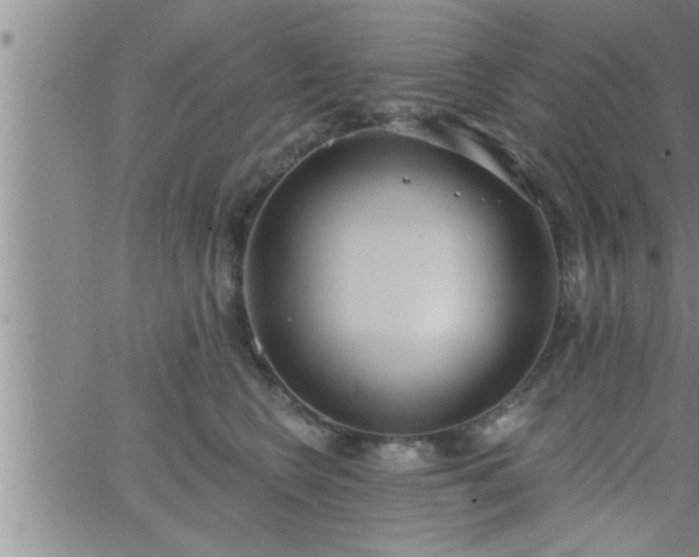 X0000063510566200601271813