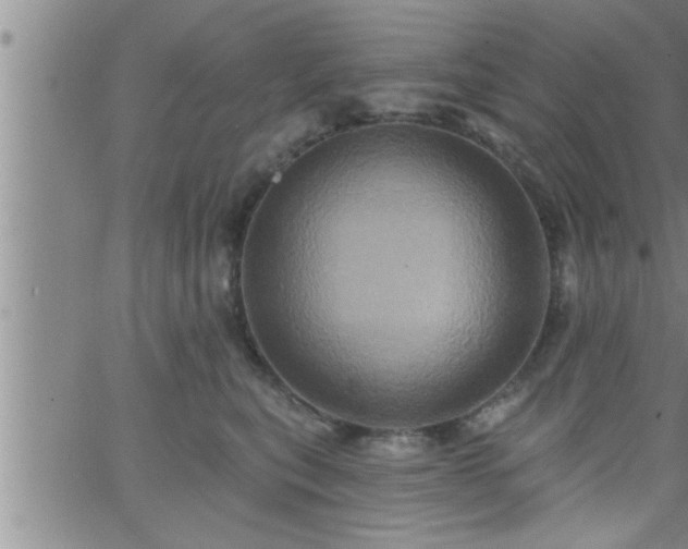 X0000063510567200601271813