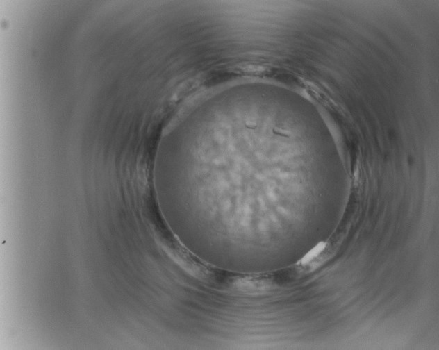 X0000063510568200601271813