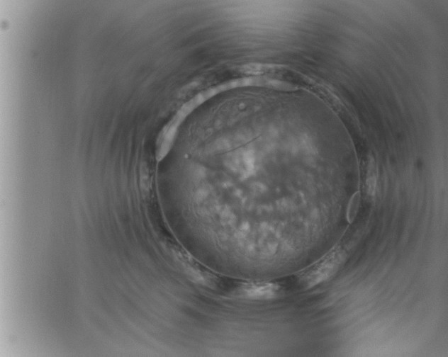 X0000063510569200601271813