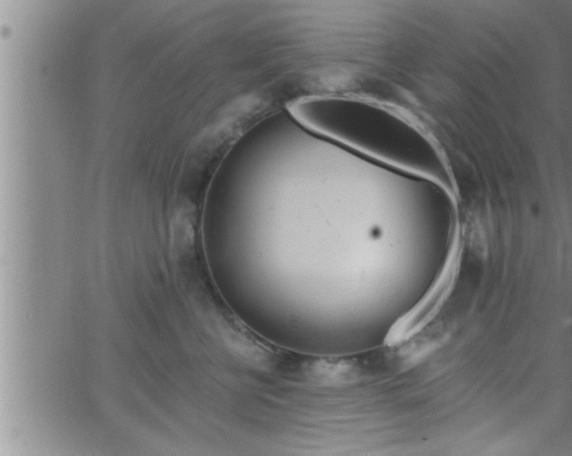 X0000063510570200601271813