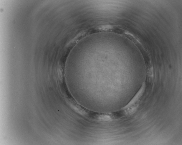 X0000063510572200601271814