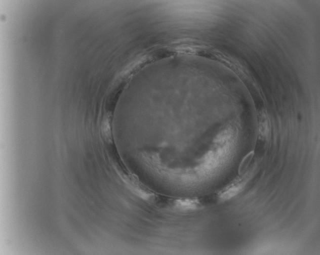 X0000063510573200601271814