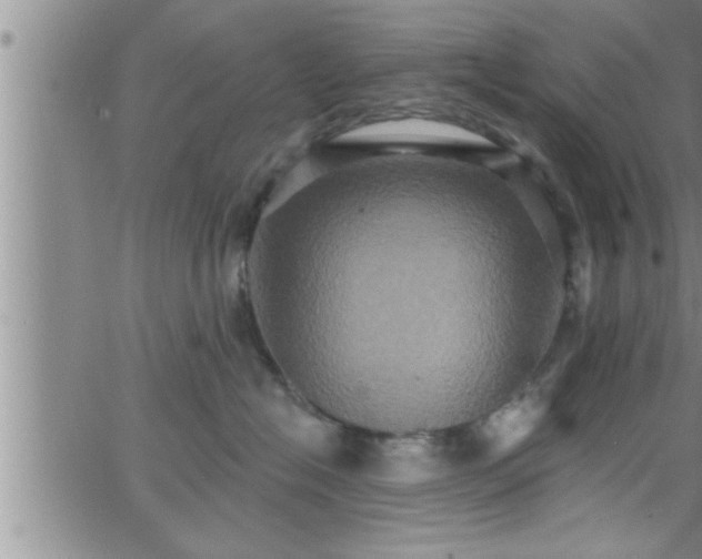 X0000063510574200601271814