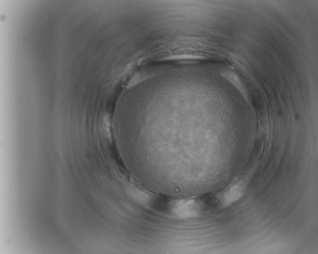 X0000063510575200601271814