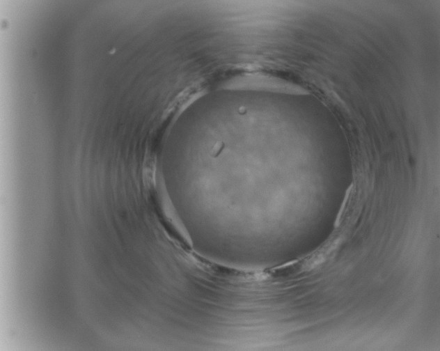 X0000063510576200601271814