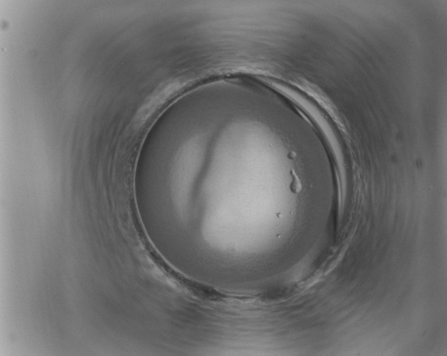 X0000063510577200601271813