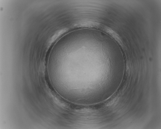 X0000063510578200601271813