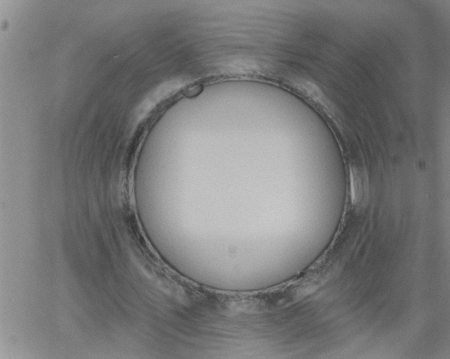 X0000063510579200601271813