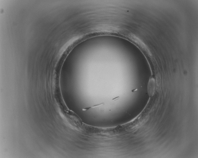 X0000063510580200601271813