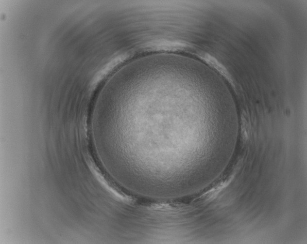 X0000063510581200601271813