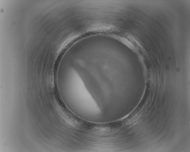 X0000063510582200601271813