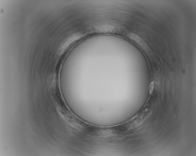 X0000063510583200601271813