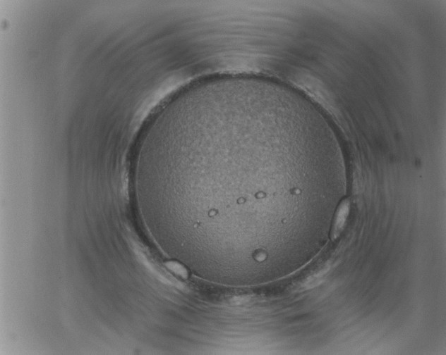 X0000063510584200601271813