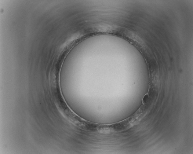 X0000063510587200601271813