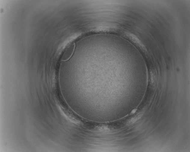 X0000063510588200601271813