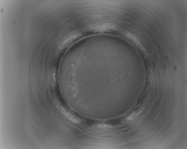 X0000063510590200601271813