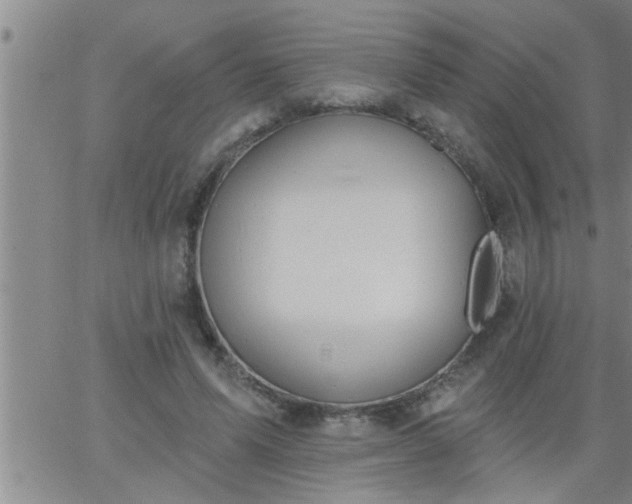 X0000063510591200601271813