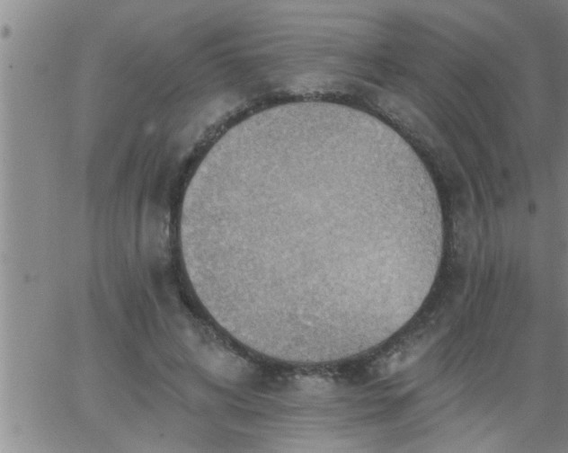 X0000063510592200601271813