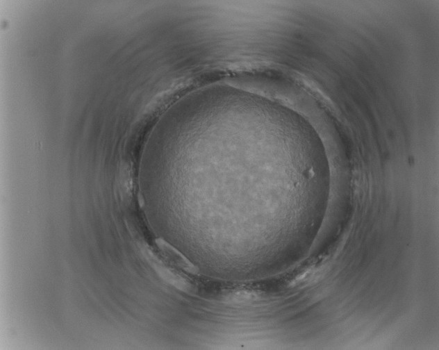 X0000063510593200601271813