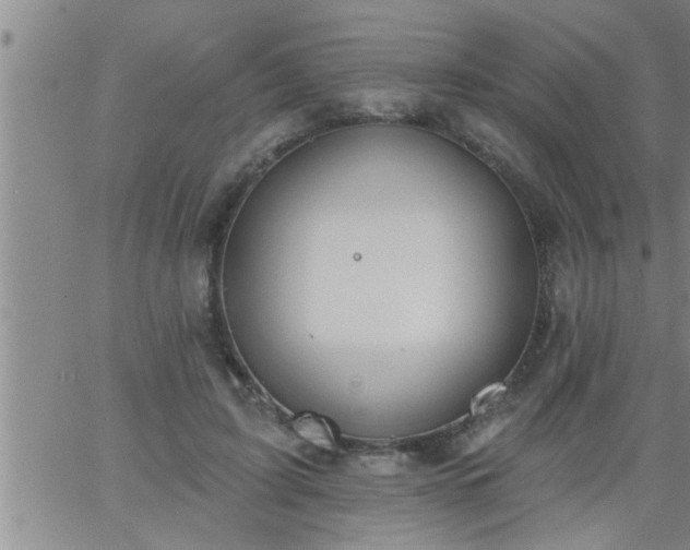 X0000063510595200601271812