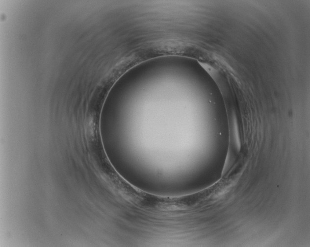 X0000063510597200601271812